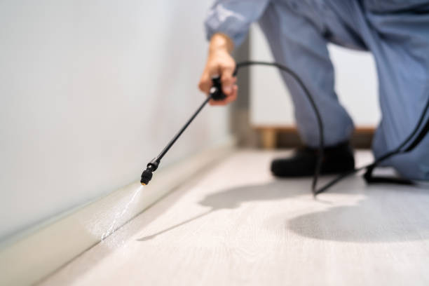 Licensed Termite Control service in Terry, MS - Show Me Pest Control